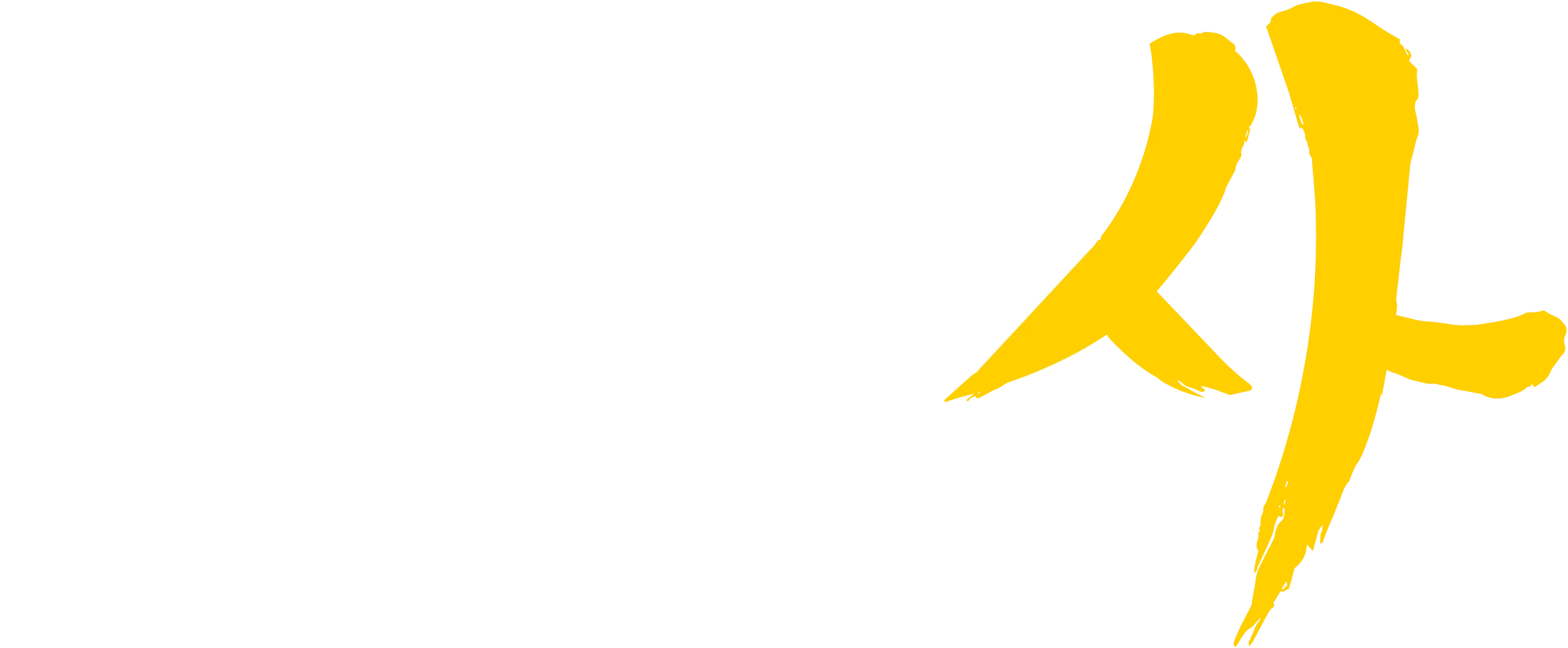 Call of Duty Modern Warfare 4