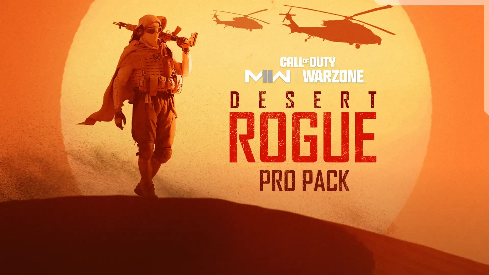 Call of Duty Store Desert Rogue