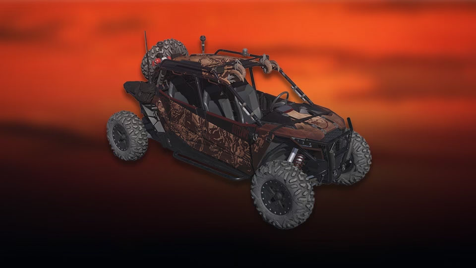 Vehicle skin